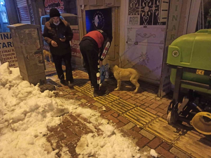 Gölbaşı İtfaiyesi Sokak Hayvanlarını Unutmadı