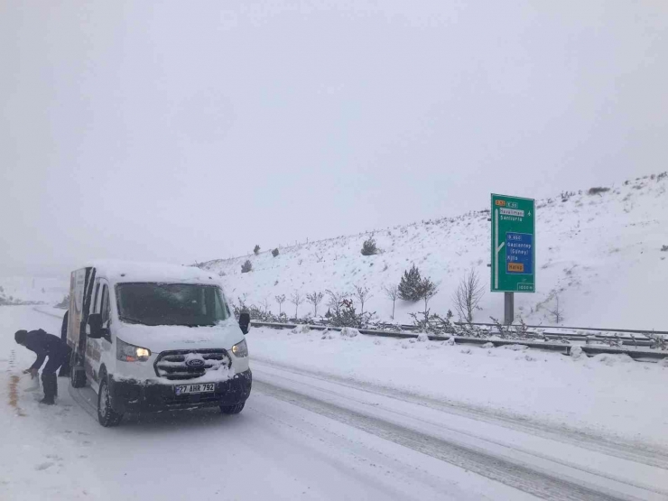 Büyükşehir Belediye Ekipleri Sokak Hayvanlarını Unutmadı