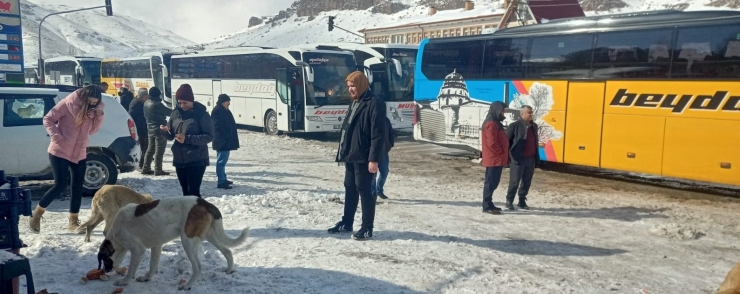 Yolda Kalan Yolcular Köpek Besleyerek Zaman Geçiriyor