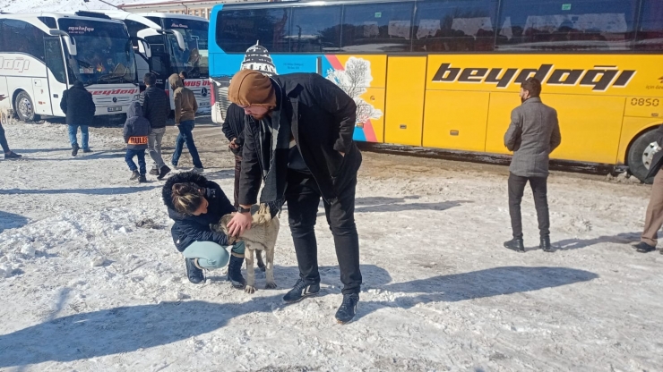 Yolda Kalan Yolcular Köpek Besleyerek Zaman Geçiriyor