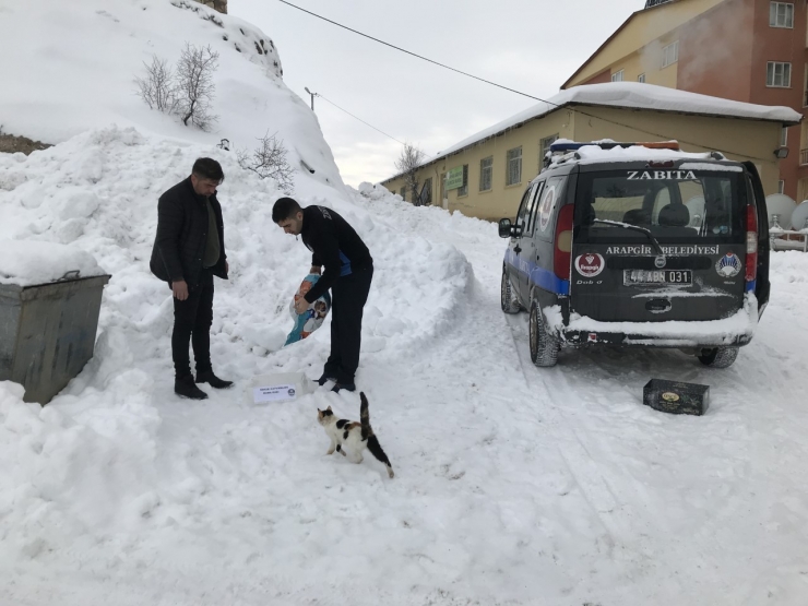 Arapgir Belediyesi, Sokak Hayvanlarını Unutmadı