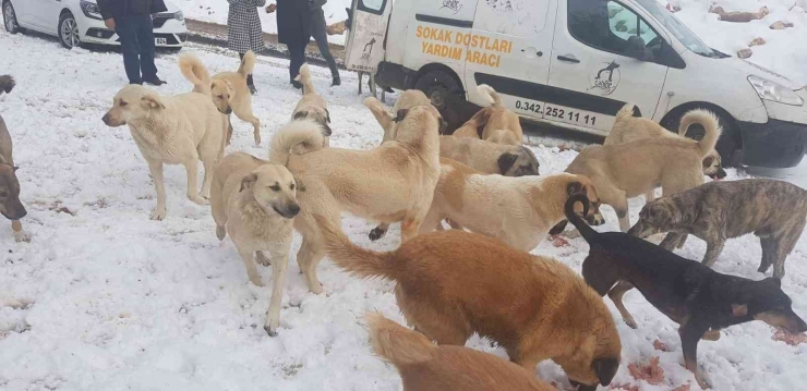 Cahide Karda Can Dostların Yanında