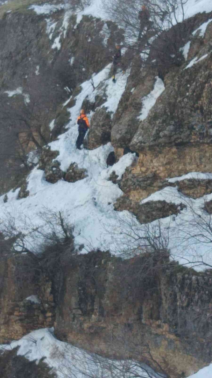 Afad Ekipleri 8 Gündür Dağda Mahsur Kalan 7 Keçiyi Tekne İle Kurtardı