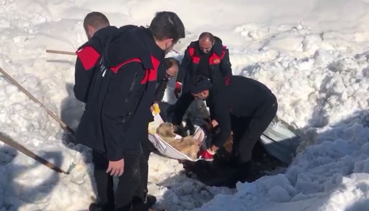 Enkazın Altındaki Köpek Kurtarıldı