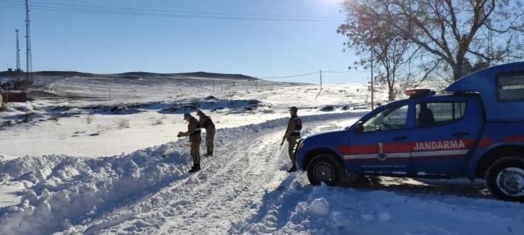 Arguvan’da Jandarma Sokak Hayvanlarını Unutmadı