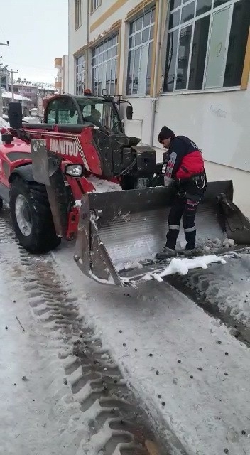 Ağaçta 2 Gün Mahsur Kalan Kedi Kurtarıldı