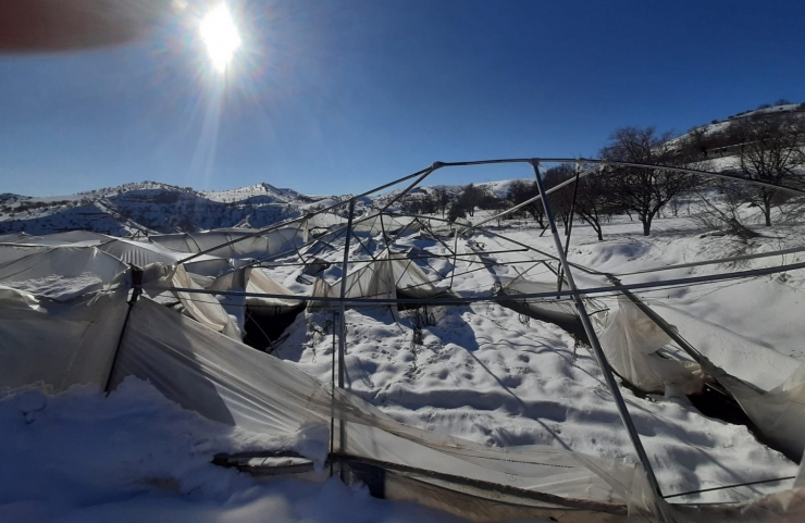 Kar Altında Kalan Seralar Zarar Gördü