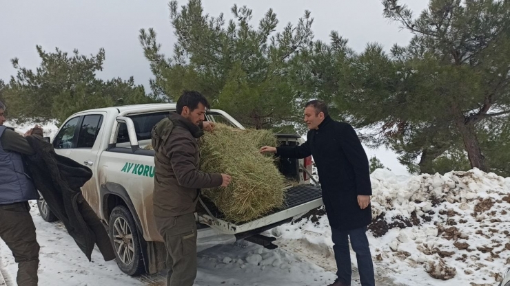 Öğrenciler Yaban Hayvanları İçin Yem Bıraktı