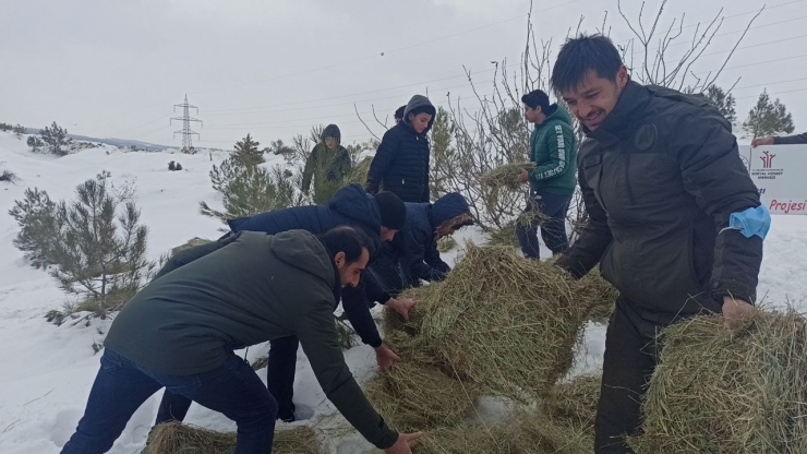 Öğrenciler Yaban Hayvanları İçin Yem Bıraktı