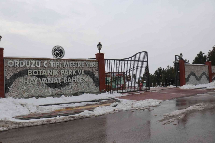 Malatya Hayvanat Bahçesi’nin Üye Sayısı Artıyor