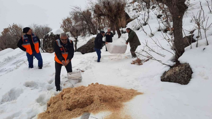 Çermik’te Yaban Hayvanları İçin Doğaya Yem Bırakıldı