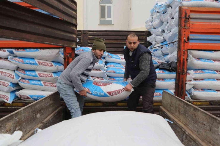 Şahinbey’den Hayvan Yetiştiricilerine 8 Bin Ton Yem Desteği
