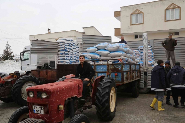 Şahinbey’den Hayvan Yetiştiricilerine 8 Bin Ton Yem Desteği