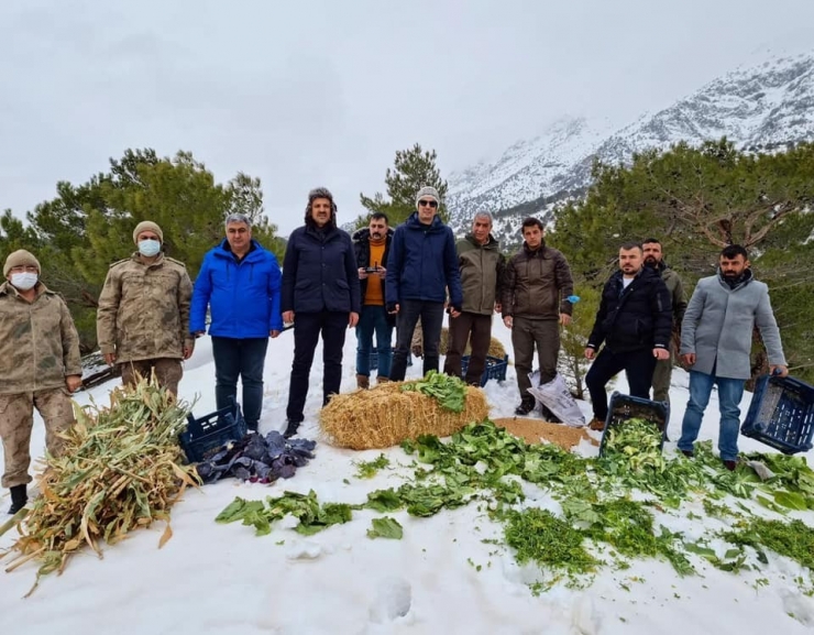 Gölbaşı’daki Yaban Hayvanlarına Yem Bırakıldı