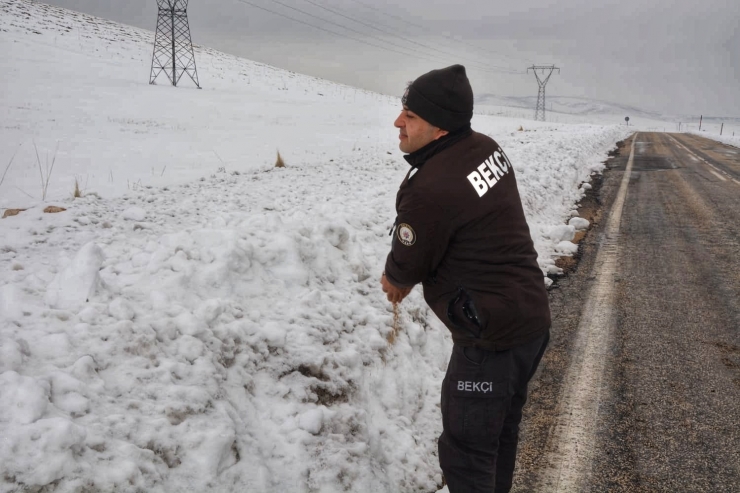 Karda Yiyecek Bulmakta Zorlanan Hayvanlara Polis Şefkati