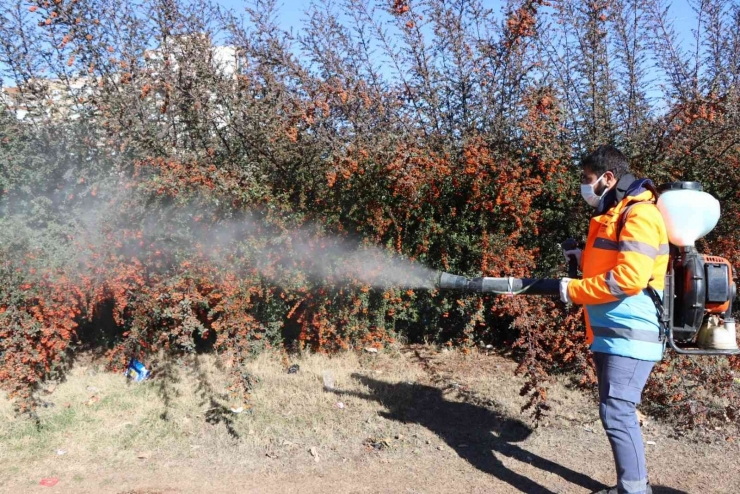 Büyükşehirden Vektörle Mücadele Çalışması