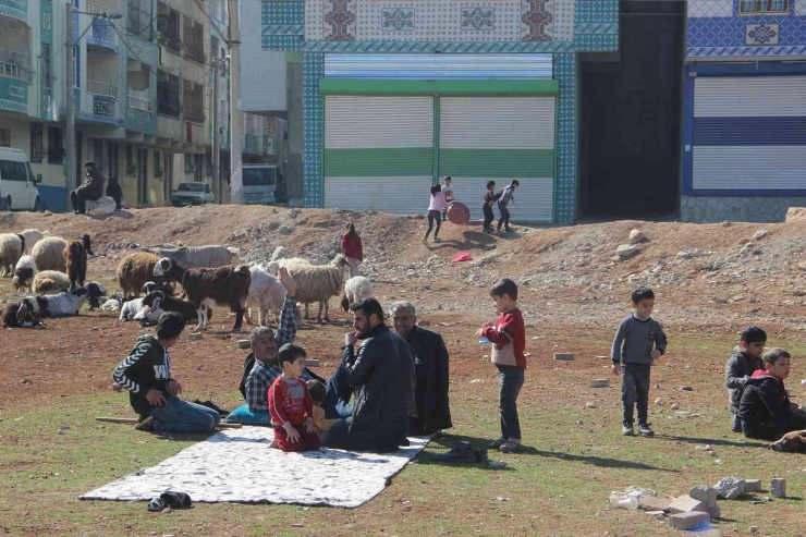 Şanlıurfa’da Bahar Havası Yaşanıyor