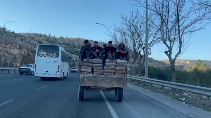 Çimento Yüklü Traktörde Tehlikeli Yolculuk