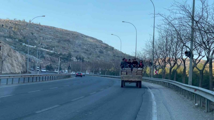 Çimento Yüklü Traktörde Tehlikeli Yolculuk