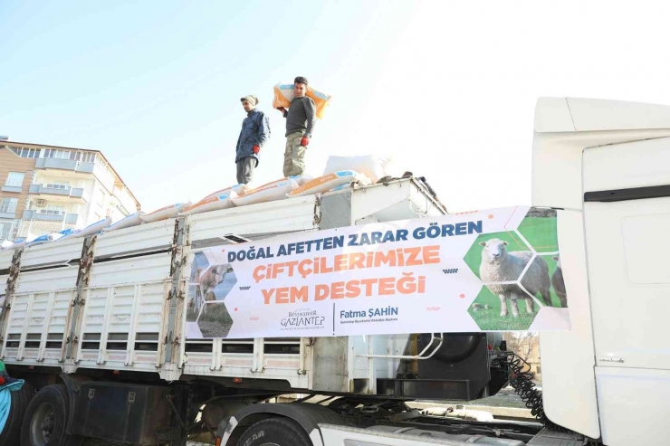 Besicilere Yüzde 100 Hibeyle 375 Ton Yem Desteği