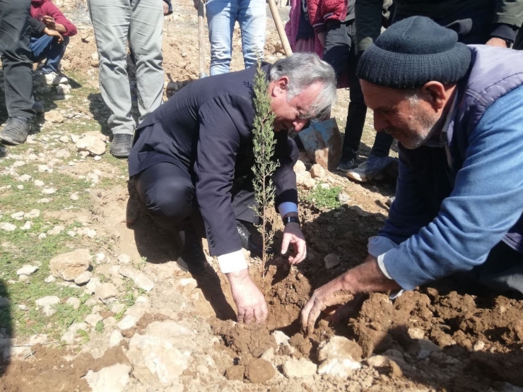 ‘köyümüz Fidanla Yeşilleniyor’