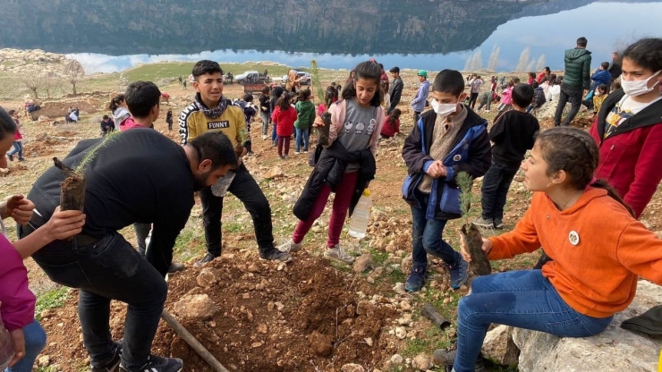 ‘köyümüz Fidanla Yeşilleniyor’