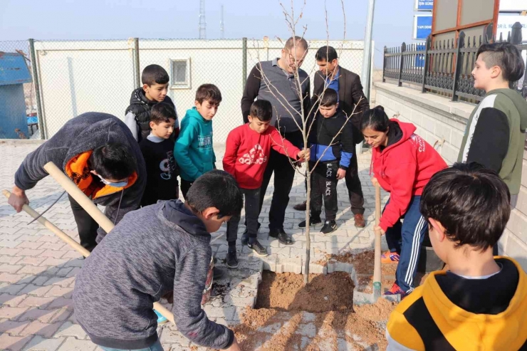 Gençlerden Yeşillendirmeye Katkı