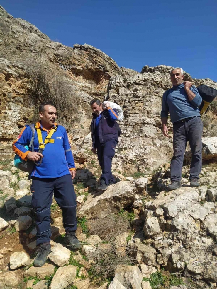 Uçurumda Mahsur Kalan Keçileri Afad Kurtardı