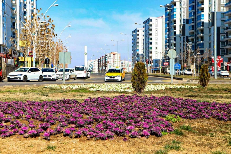 Diyarbakır 3 Milyon Çiçekle Süslenecek