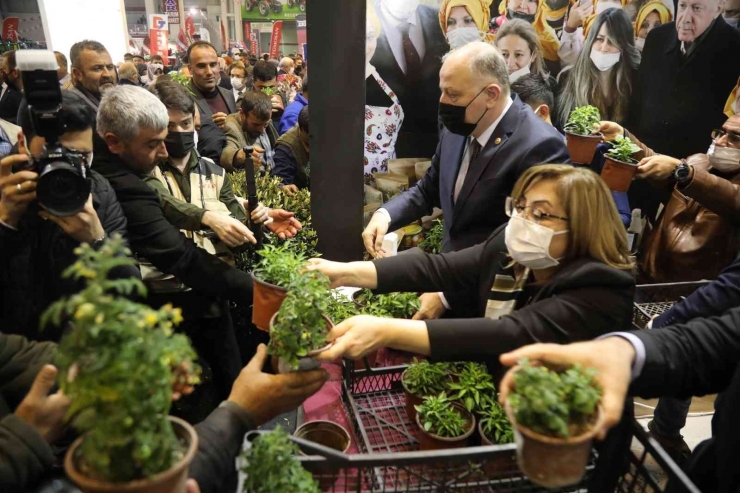 13. Gaptarım Tarım, Tarım Teknolojileri Ve Hayvancılık Fuarı Başladı