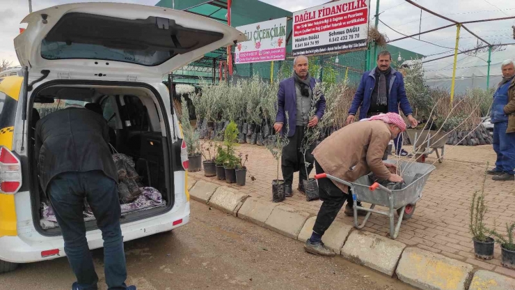 Şanlıurfa’da Fıstık Ve Zeytin Fidanları Toprakla Buluşuyor