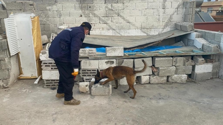 Şanlıurfa’da Uyuşturucu Operasyonu 20 Gözaltı