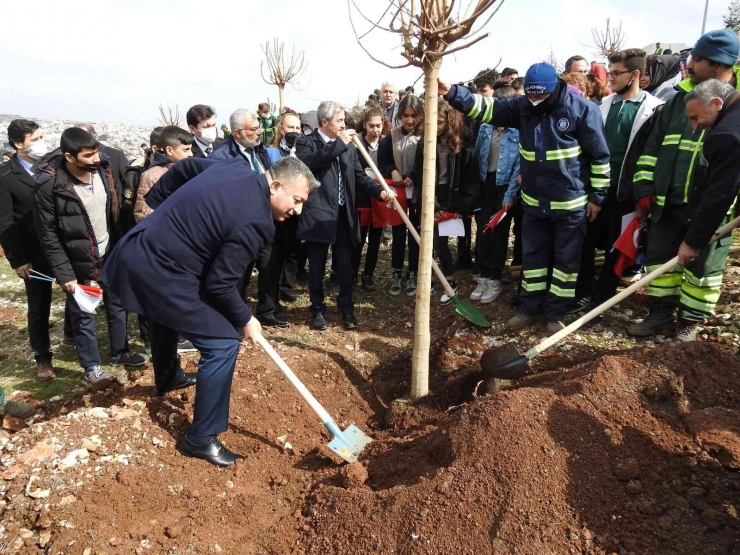 Şahinbey’de 26 Bin Ağaç Dikilecek