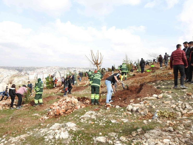 Şahinbey’de 26 Bin Ağaç Dikilecek