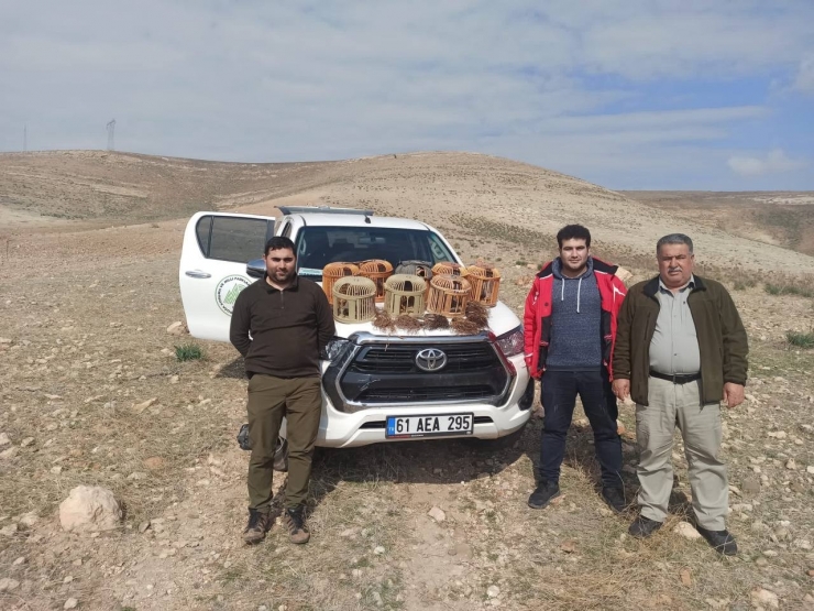 Şanlıurfa’da Kaçak Avlanan 7 Kişiye İşlem Yapıldı