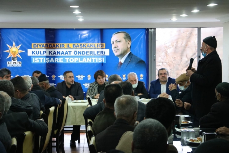 Ak Parti Diyarbakır İl Teşkilatı Tam Kadro Sahada