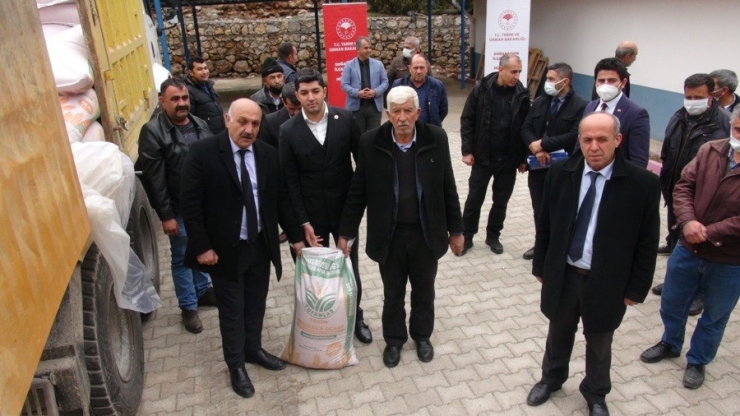 Doğanşehir’de Arpa Ve Buğday Tohumu Dağıtımına Başlandı