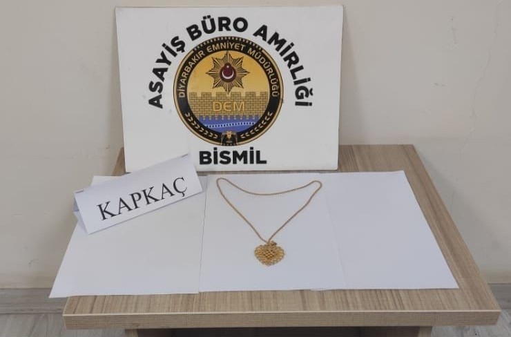 Diyarbakır’da Kadının Boynundaki Altın Kolyeyi Çalan Hırsızlar Yakalandı