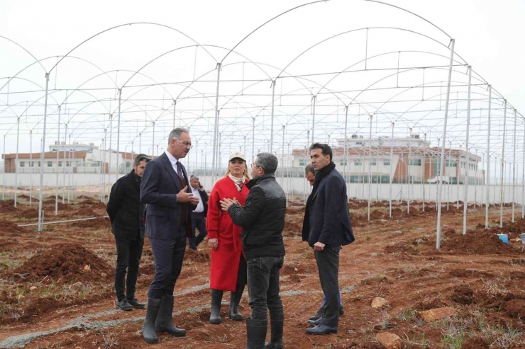 Eyyübiye’de İstihdam Projeleri Başladı