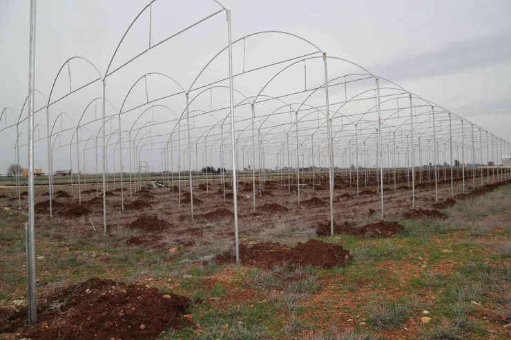 Eyyübiye’de İstihdam Projeleri Başladı