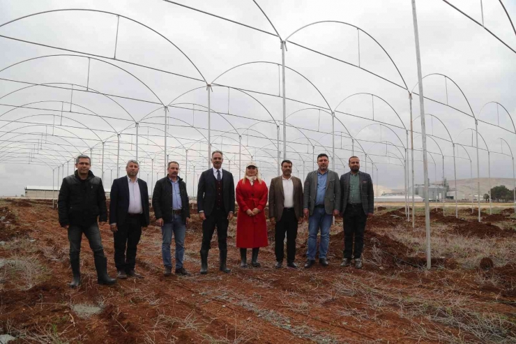 Eyyübiye’de İstihdam Projeleri Başladı