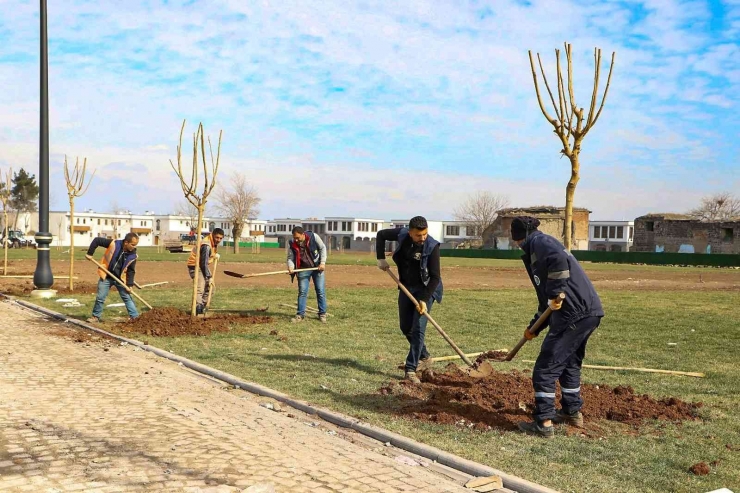 Büyükşehir Belediyesinin Hedefi Daha Yeşil Bir Diyarbakır