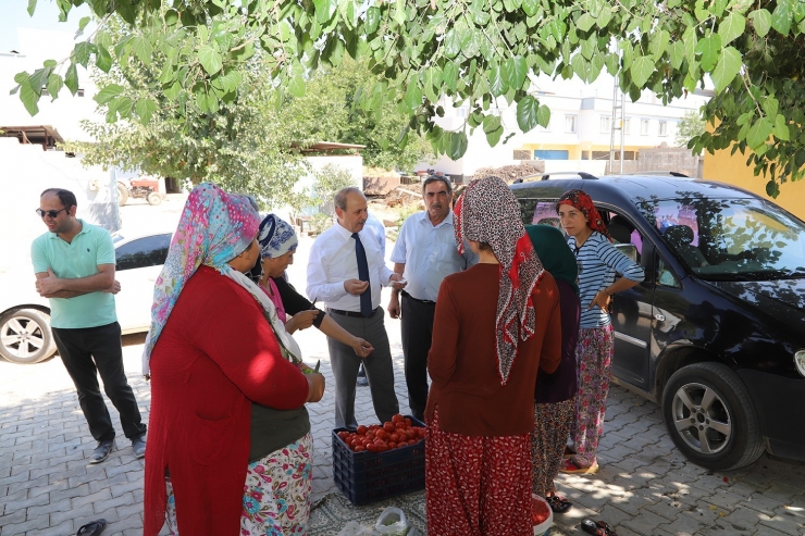 Kılıç’tan 8 Mart Dünya Kadınlar Günü Mesajı