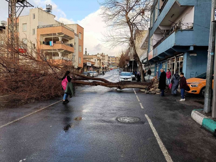 Şanlıurfa’da Faciadan Dönüldü