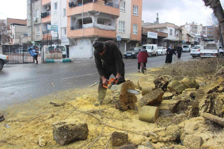 Şanlıurfa’da Faciadan Dönüldü