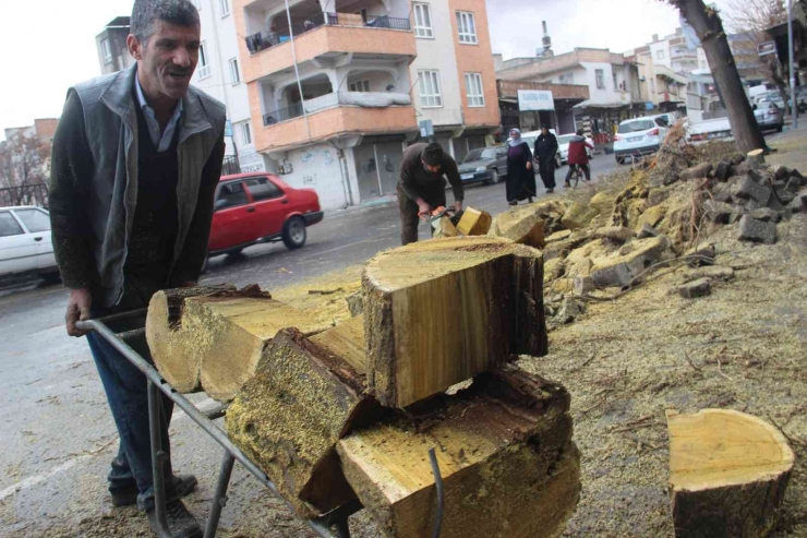 Şanlıurfa’da Faciadan Dönüldü