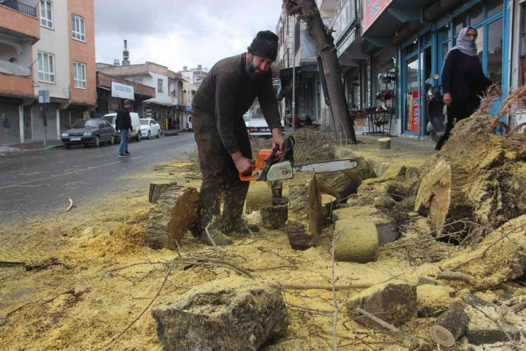 Şanlıurfa’da Faciadan Dönüldü