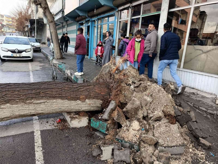 Şanlıurfa’da Faciadan Dönüldü