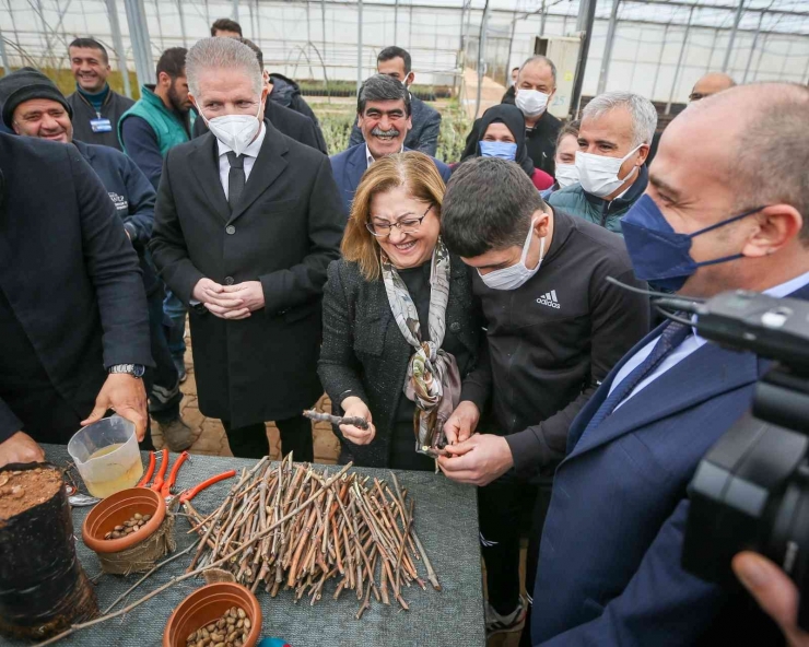 Madde Bağımlısı Gençlerle Birlikte Fidan Dikti