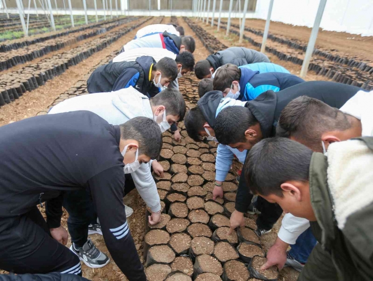 Madde Bağımlısı Gençlerle Birlikte Fidan Dikti